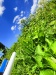 Thumbnail IMG20220706122153.jpg 