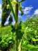 Thumbnail IMG20220706123102.jpg 