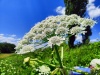 Thumbnail IMG20220706123138.jpg 