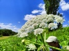 Thumbnail IMG20220706123140.jpg 