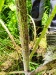 Thumbnail IMG20220706123148.jpg 