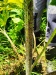 Thumbnail IMG20220706123153.jpg 