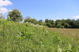 Thumbnail IMG_2441.JPG 
