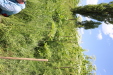 Thumbnail IMG_2444.JPG 