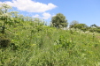 Thumbnail IMG_2447.JPG 