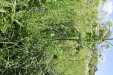 Thumbnail IMG_2455.JPG 