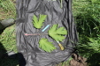 Thumbnail IMG_2503.JPG 