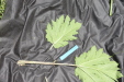 Thumbnail IMG_2511.JPG 