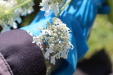 Thumbnail IMG_2521.JPG 