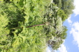 Thumbnail IMG_2526.JPG 
