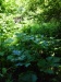 Thumbnail IMG20220707095643.jpg 