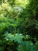 Thumbnail IMG20220707095651.jpg 