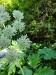 Thumbnail IMG20220707100035.jpg 