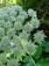 Thumbnail IMG20220707100037.jpg 