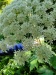 Thumbnail IMG20220707100039.jpg 