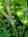 Thumbnail IMG20220707100051.jpg 