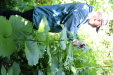 Thumbnail IMG_2930.JPG 