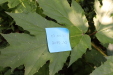 Thumbnail IMG_2932.JPG 