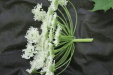 Thumbnail IMG_2957.JPG 