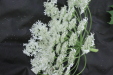 Thumbnail IMG_2958.JPG 
