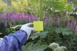 Thumbnail IMG_5092.JPG 