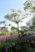 Thumbnail IMG_5093.JPG 