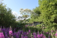 Thumbnail IMG_5100.JPG 