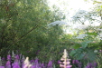 Thumbnail IMG_5101.JPG 