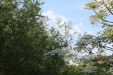 Thumbnail IMG_5102.JPG 