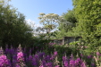 Thumbnail IMG_5105.JPG 