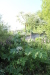 Thumbnail IMG_5106.JPG 