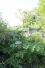 Thumbnail IMG_5107.JPG 