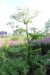 Thumbnail IMG_5113.JPG 