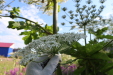 Thumbnail IMG_5119.JPG 
