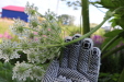 Thumbnail IMG_5121.JPG 