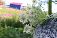 Thumbnail IMG_5122.JPG 