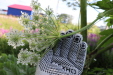 Thumbnail IMG_5123.JPG 