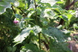 Thumbnail IMG_5157.JPG 