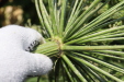 Thumbnail IMG_5182.JPG 