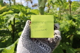 Thumbnail IMG_5258-1.JPG 
