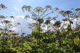 Thumbnail IMG_5260.JPG 