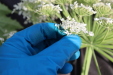 Thumbnail IMG_5282.JPG 