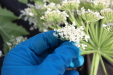 Thumbnail IMG_5283.JPG 