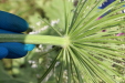 Thumbnail IMG_5292.JPG 