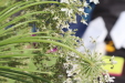 Thumbnail IMG_5294.JPG 