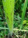 Thumbnail IMG20220707120951.jpg 