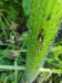 Thumbnail IMG20220707120953.jpg 