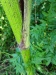 Thumbnail IMG20220707121002.jpg 