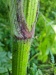 Thumbnail IMG20220707121010.jpg 