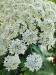 Thumbnail IMG20220707121044.jpg 